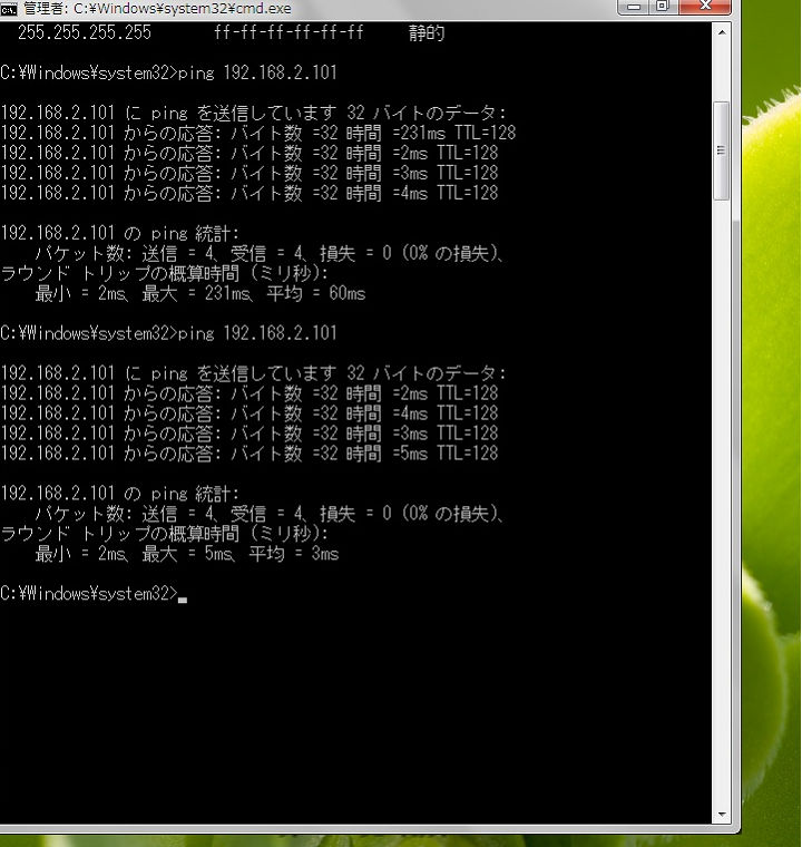 pingコマンドにてIP接続確認